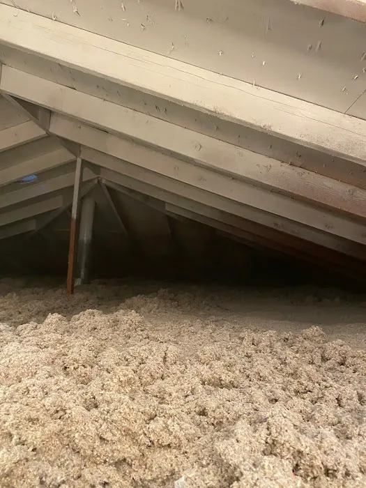 Kanndo Professional Services Picture 3