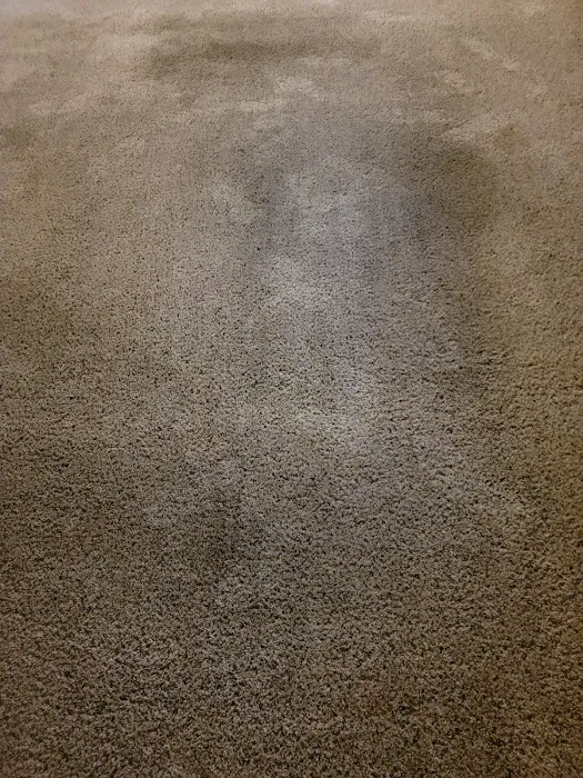 Kanndo Professional Services Picture 10