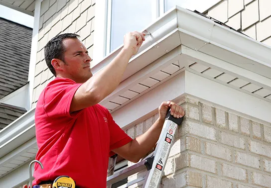 Mr. Handyman Picture 2