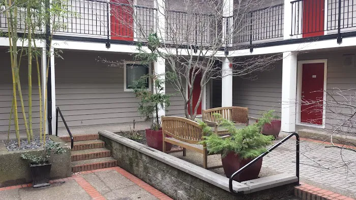 Summit Reconstruction Picture 5