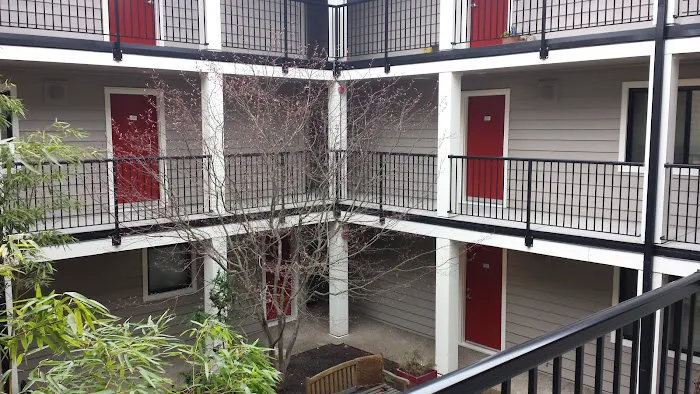 Summit Reconstruction Picture 2