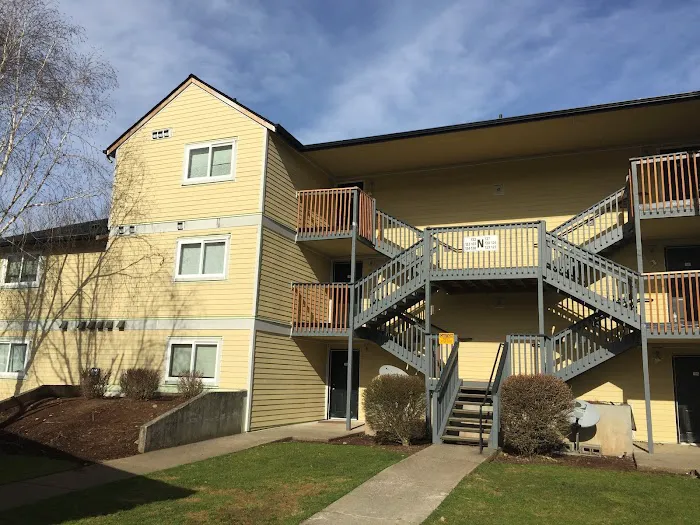 Summit Reconstruction Picture 7