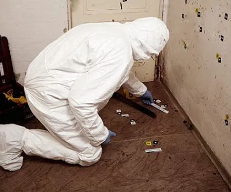 Cleaning Specialists Inc.