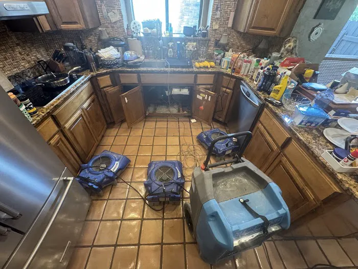 AFC Restoration Picture 10