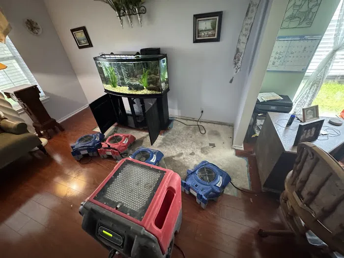 AFC Restoration Picture 8