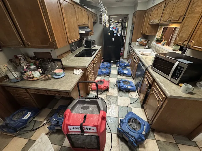 AFC Restoration Picture 9