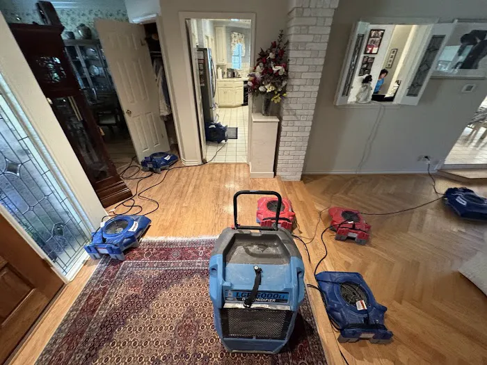 AFC Restoration Picture 7