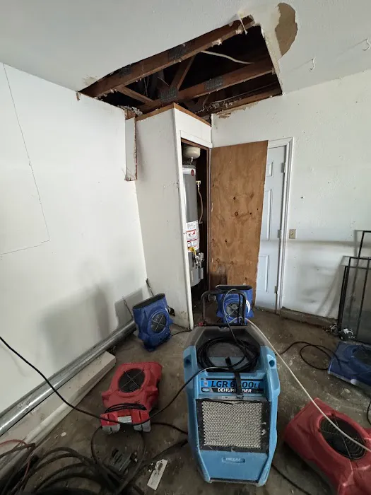 AFC Restoration Picture 6