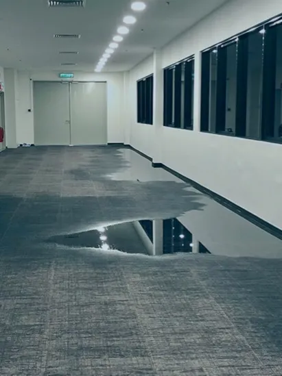 Best Water Damage & Mold Picture 1