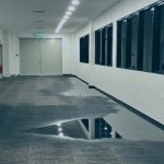 Best Water Damage & Mold