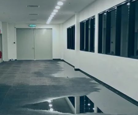 Best Water Damage & Mold