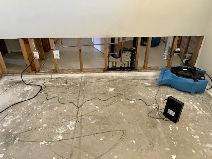 Best Water Damage & Mold Picture 2