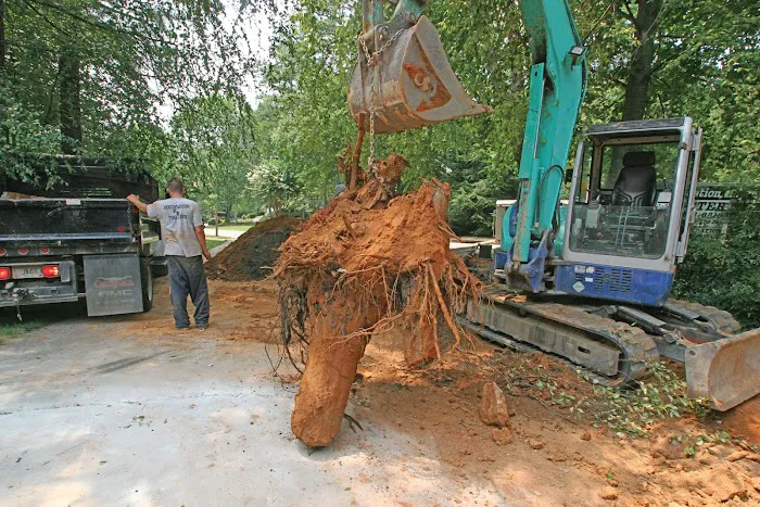 Trotter Company Picture 9