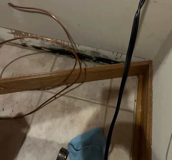 The Mold Pros of Arizona Picture 5