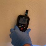 The Mold Pros of Arizona