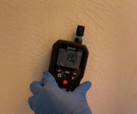 The Mold Pros of Arizona