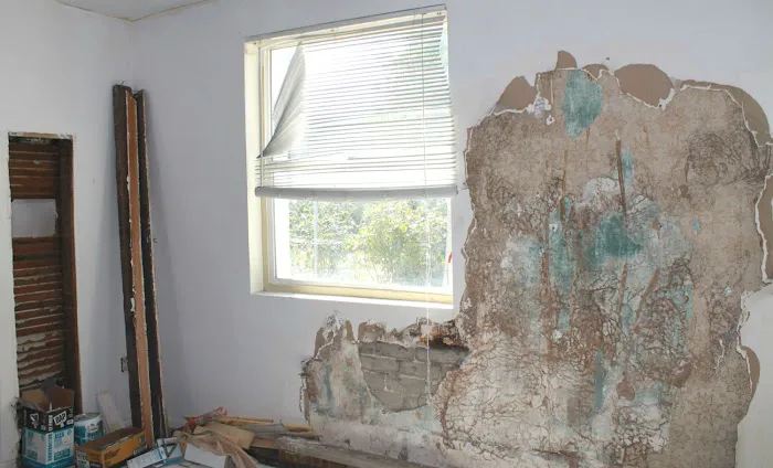 Mold Remediation Pros Picture 3