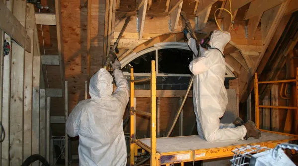 Mold Remediation Pros Picture 2