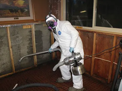 Mold Remediation Pros Picture 4