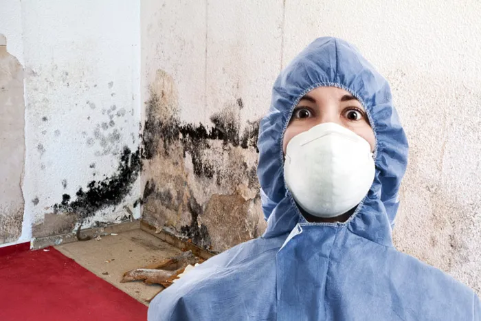 Mold Remediation Pros Picture 6