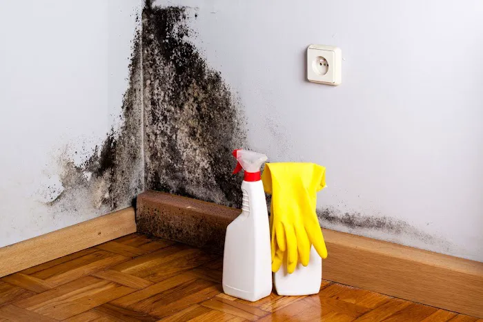 Mold Remediation Pros Picture 10