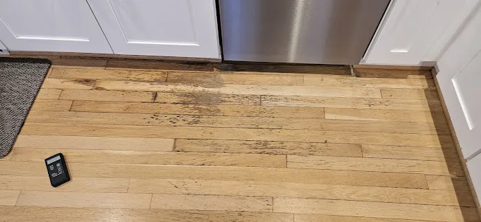 Regal Restoration Picture 3