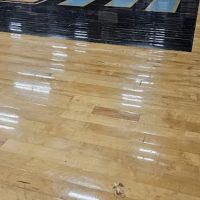 Regal Restoration ico