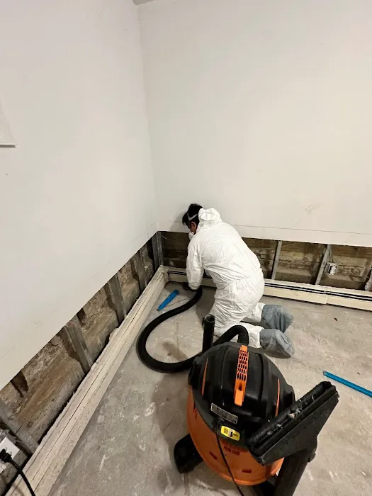 Duraclean Cleaning & Restoration Picture 4