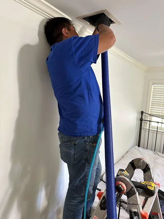 Duraclean Cleaning & Restoration Picture 5