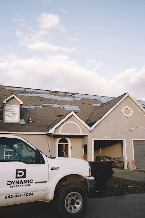 Dynamic Restoration Picture 1