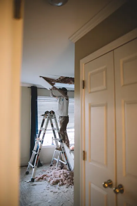 Dynamic Restoration Picture 7