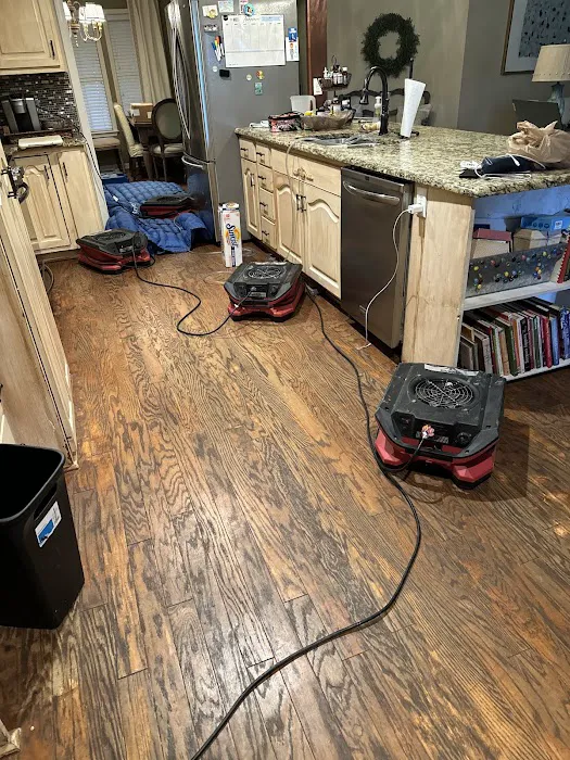 Paul Davis Restoration of the Golden Triangle Picture 3