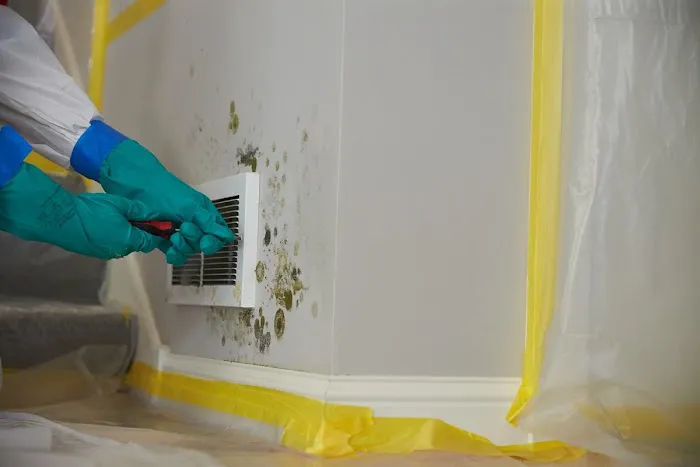 ServiceMaster Restoration by OneCall Picture 3