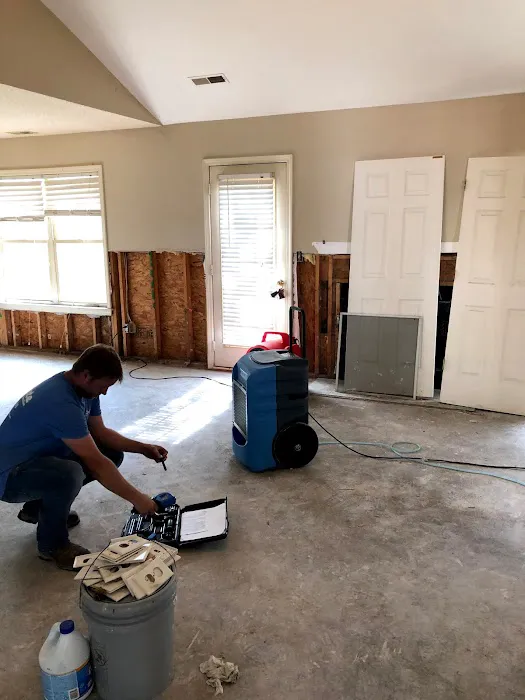 Absolute Restoration Picture 7