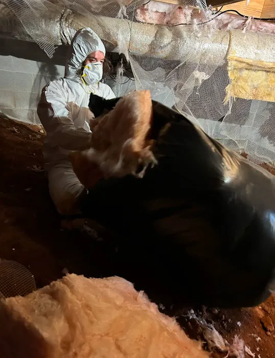 Resurrection Picture 5