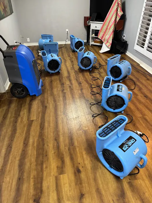 Elite, mitigation, pros Picture 6