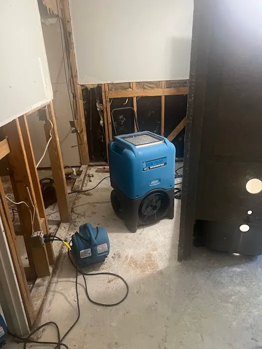 Elite, mitigation, pros Picture 3