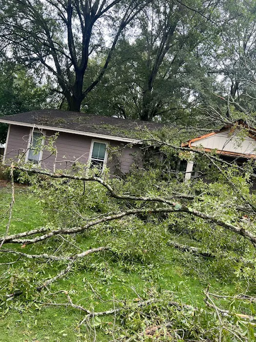 Elite, mitigation, pros Picture 8