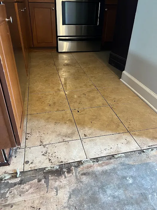 Elite, mitigation, pros Picture 7