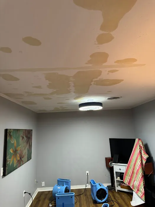 Elite, mitigation, pros Picture 4