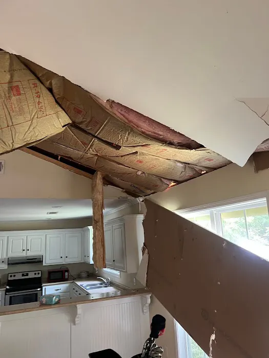 Elite, mitigation, pros Picture 9