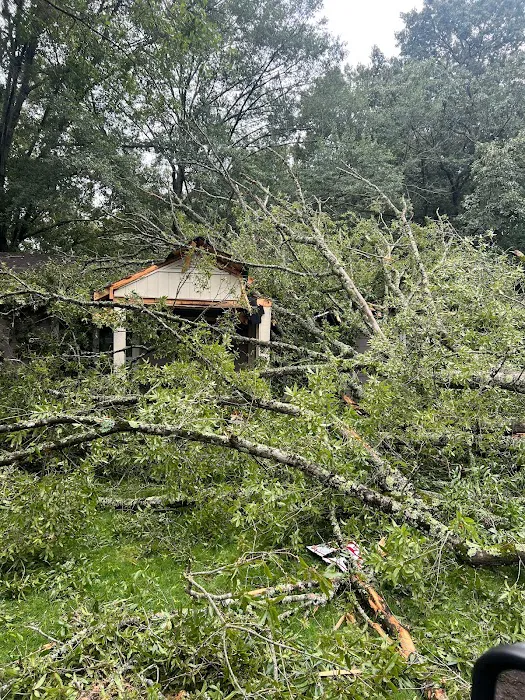 Elite, mitigation, pros Picture 10