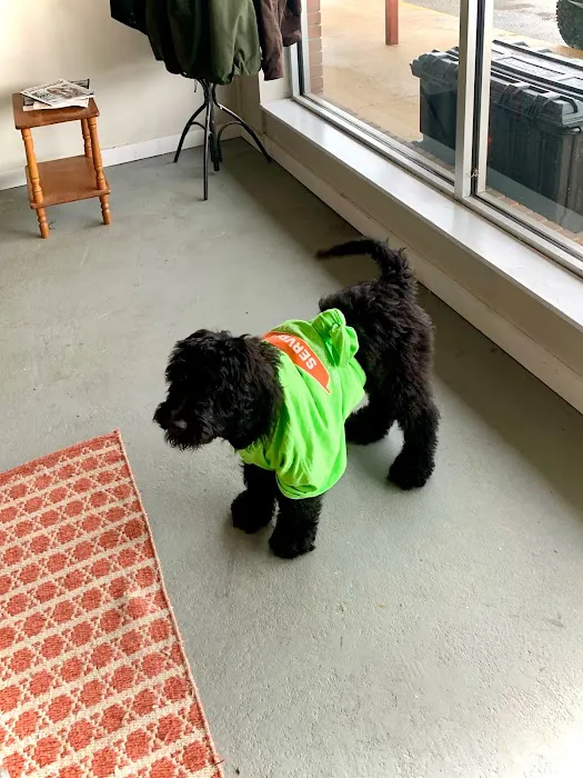 SERVPRO of Centreville, Marion and Selma Picture 7