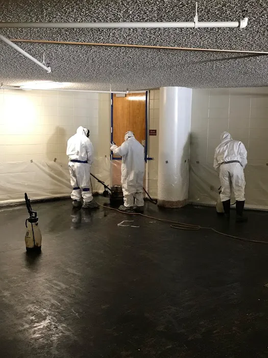 Alabama Restoration and Remediation Picture 9