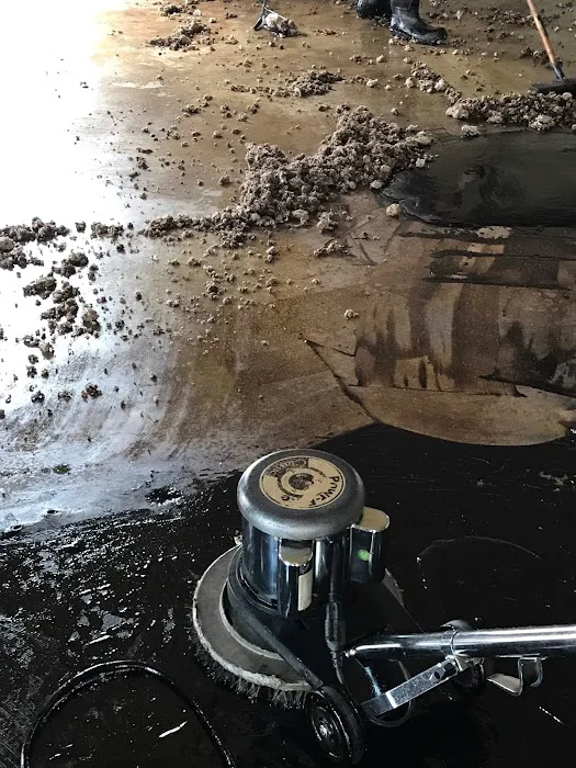 Alabama Restoration and Remediation Picture 8