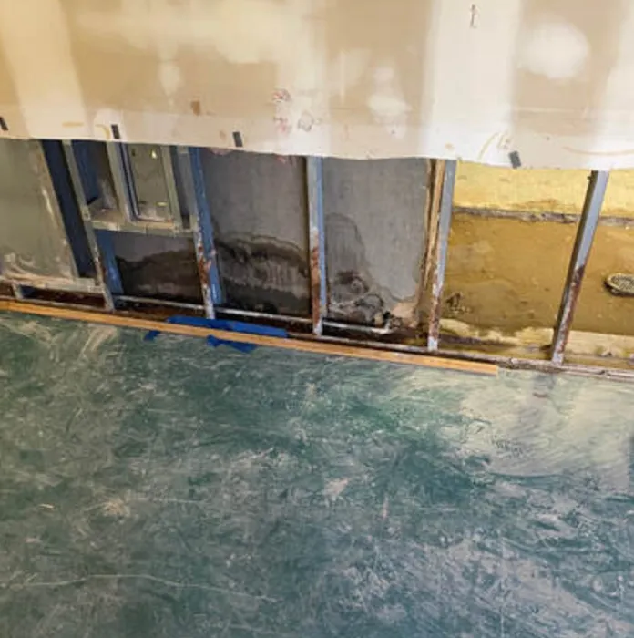 Alabama Restoration and Remediation Picture 7