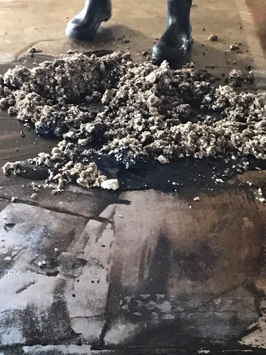 Alabama Restoration and Remediation Picture 5