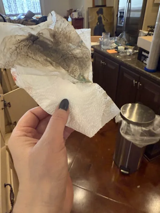 Mississippi Environmental Picture 1