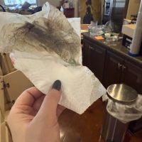 Mississippi Environmental ico