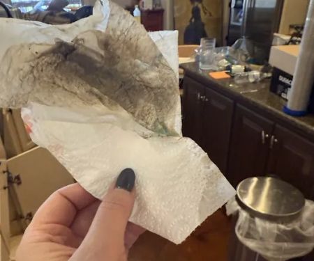 Mississippi Environmental